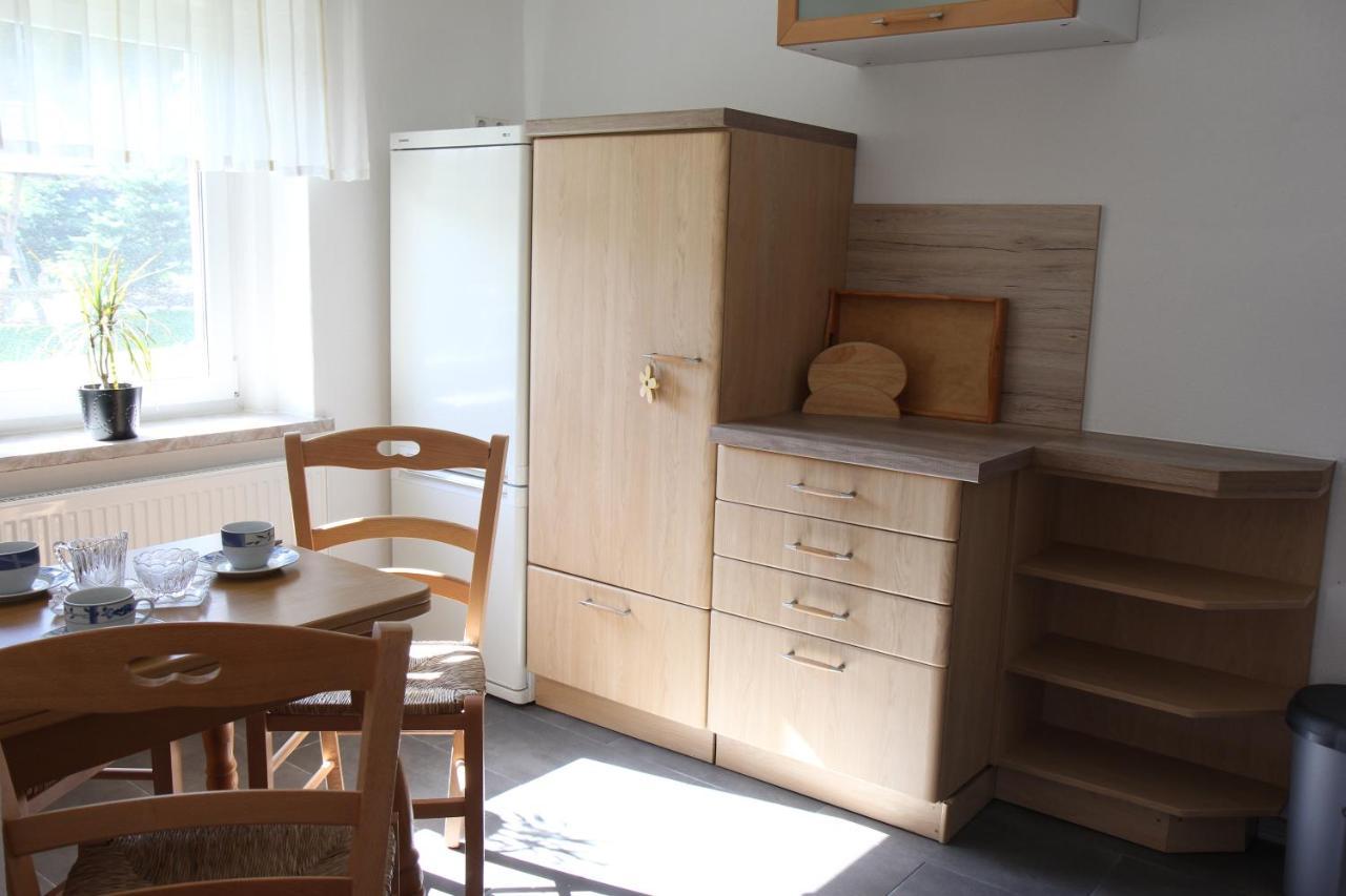 Ferienwohnung Lippmann Grosshartmannsdorf Ngoại thất bức ảnh